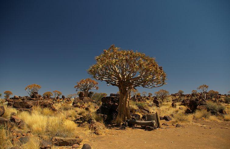 096 Namibia Okt 2006 .JPG